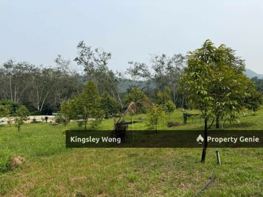 Jalong Tinggi Sg Siput Easy Entry with Asphalt Road 4 Acres Durian Orchard Farm