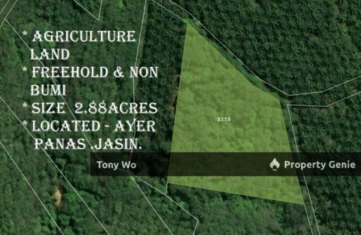 Agriculture Land at Ayer Panas ,Jasin .Melaka.