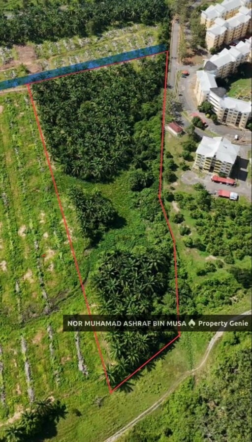 Tanah Kebun Kelapa Sawit Tepi Hinghway Changlun, Kedah
