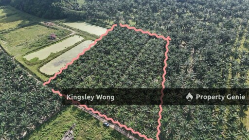 Sungai Siput Jalong Tinggi Freehold Agricultural Land 5 from Main Road