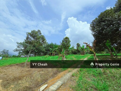 Liman Kati Durian Orchard Land For Sale Freehold 5.9acres RM1.2m only