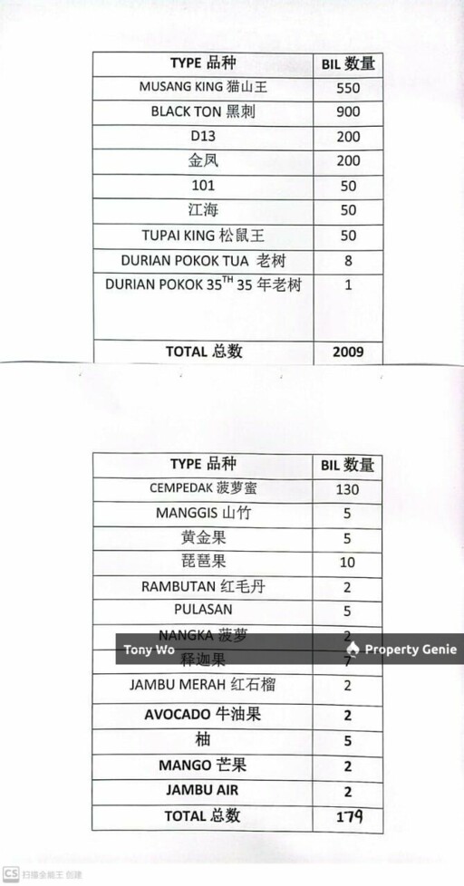 Durian Farm For Sale