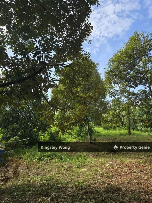 Sauk, Kuala Kangsar Freehold 4.48 Acres Agriculture Land Near Main Road