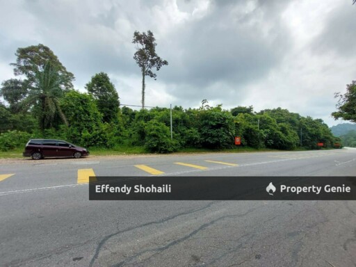 MARAN PAHANG DEVELOPMENT LAND