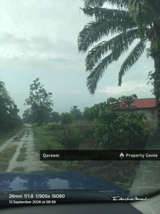 4.1 Ekar LAdang Sawit Pulau Ganda Suli Hutan Melintang, PErak