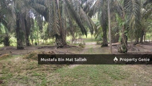 [FREEHOLD] 2 Lots, Kampung Terap Batu 12, Kulim