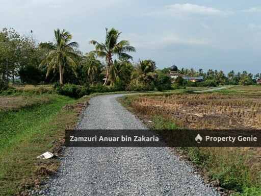 Tanah Pertanian Rapat Jàlan Tambun Tulang Arau Perlis