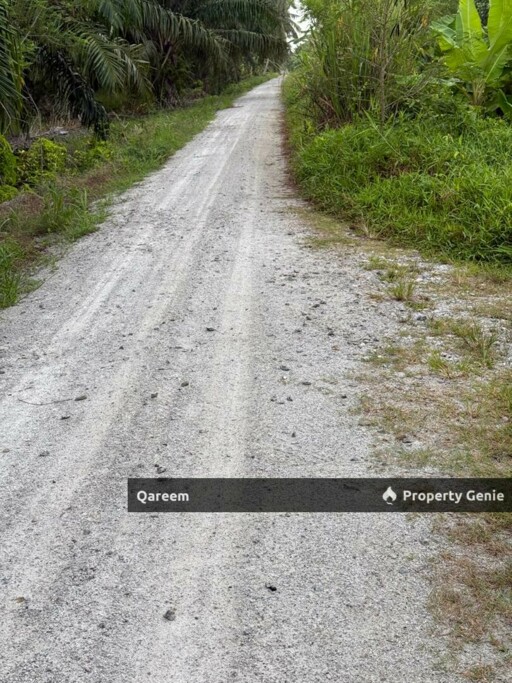 2.01 Ekar Ladang Kelapa Sawit Kg Sekendi Sabak Bernam
