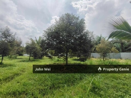 🔥Agriculture Durian Farm For Sale🔥