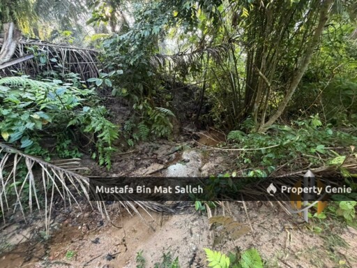 [Kebun Sawit] Sungai Tengas, Kulim, Kedah
