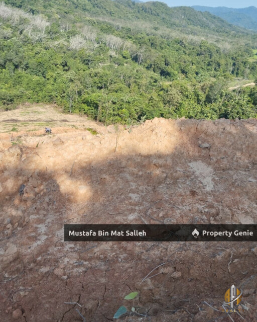 Tanah Kebun Getah Klon PB 350 Lubok Datu Pokok Sena Kedah