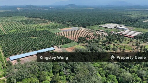 Sungai Siput RE road Freehold 11 Acres Agricultural Land Suitable Poultry farm