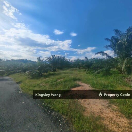 Sg Siput Perak Oil Palm Agricultural Land  Freehold Non Bumi Lot 3-4years Trees Sungai Siput Land For Sale