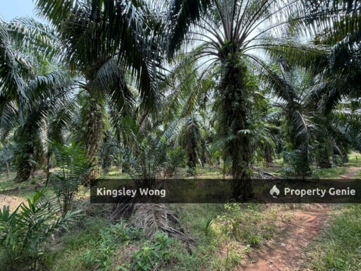Sungai Siput Agriculture Land 3.2 Acres Flat Land Industrial Zone