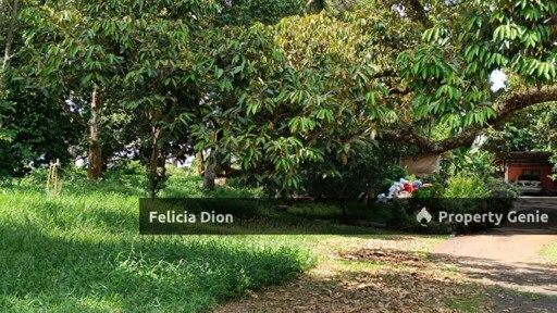 FREEHOLD AYER MOLEK AGRICULTURE LAND FOR SALE 🔥TOTAL 2++ ACRES