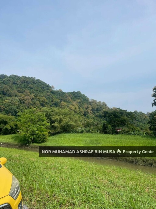 Tanah Tambak Kechor, Tepi Sungai