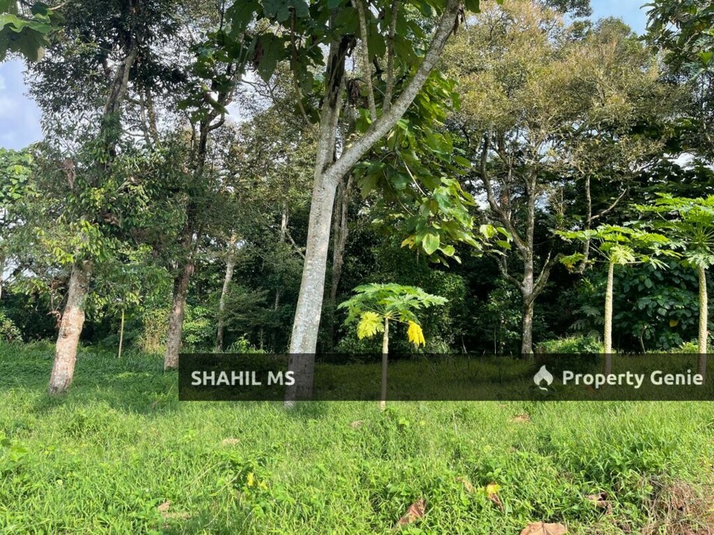 PASIR GUDANG JOHOR || FELDA CAHAYA BARU || TANAH PERTANIAN || 7.075 EKAR || RM2,190,000