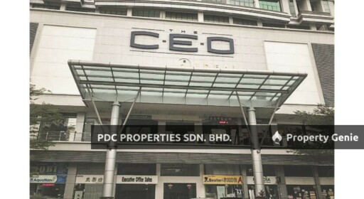 The CEO