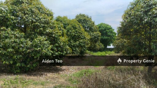 Simpang Pertang For Sale Negeri Sembilan For Sale