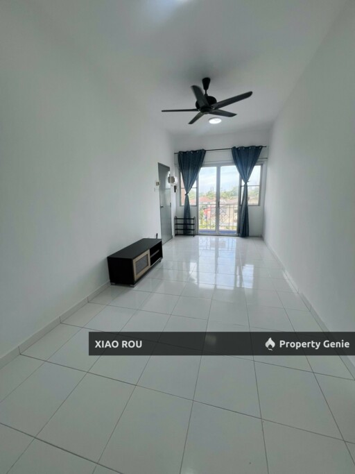 For Sale Klebang Golden Showers