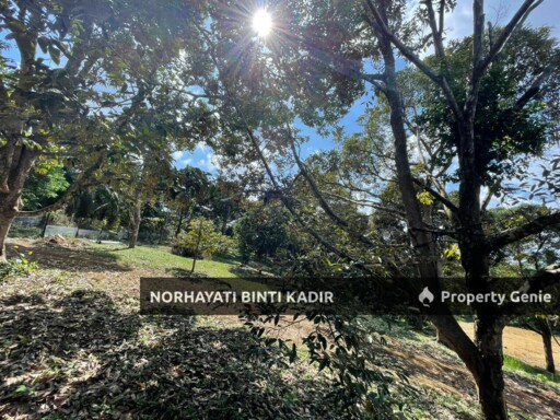 (HOT AREA) LOT BANGLO RTP BUKIT GOH BERHAMPIRAN KOTASAS