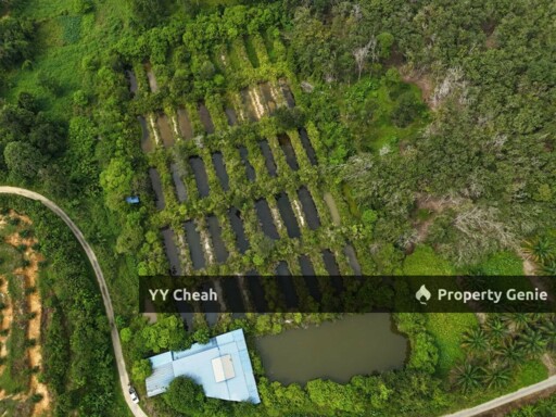 Aquaculture Land For Sale Jerlun Kuala Kangsar 4.12acres Freehold