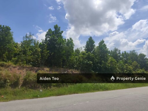 Tanjung Minyak For Sale