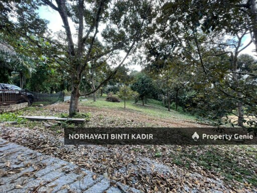 (HOT AREA) LOT BANGLO RTP BUKIT GOH BERHAMPIRAN KOTASAS