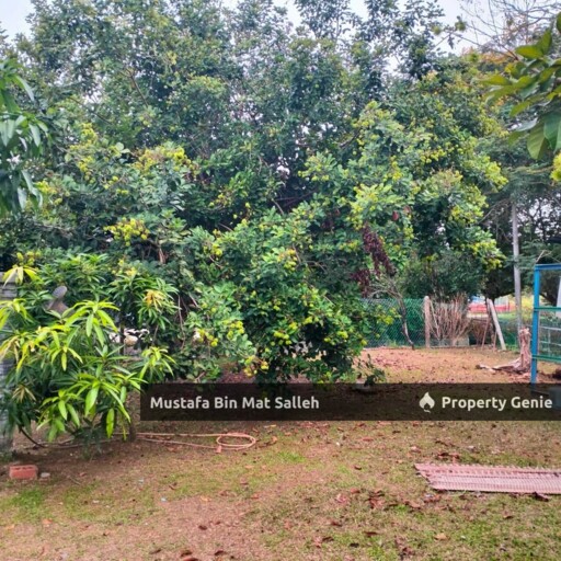 [BEST DEAL] Tanah Luas, Rumah Terjaga, Taman Bidara