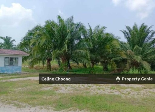Grik, Perak, Solar land
