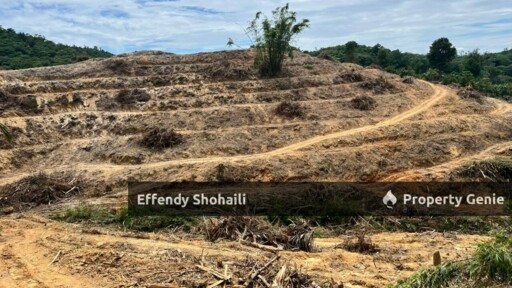 SUNGAI BARU ULU YAM TANAH PERTANIAN