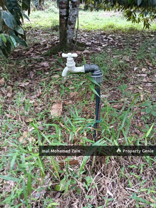 Tanah Dusun 3 Ekar Batu 8, Kg Kering Labu Negeri Sembilan