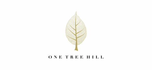 ONE TREE HILL RESIDENCE