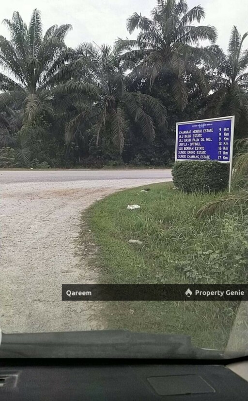 3 Ekar Ladang Sawit Merbau Berdarah Sabak Bernam