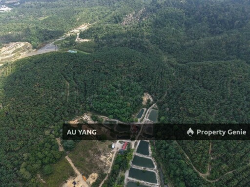 25 Acres Land / 25 英亩发展地 Kedah Kulim  For Sale/出售 Near Kulim Hi-Tech Park