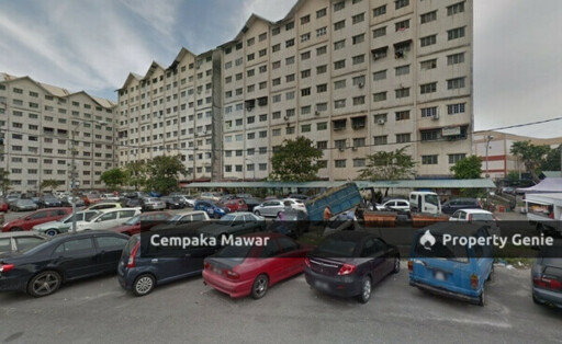 Cempaka Mawar