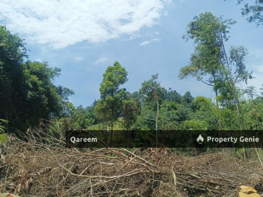 [FEEEHOLD] 3 Ekar Pekan Rasa, Sebelah Sungai. Batang Kali