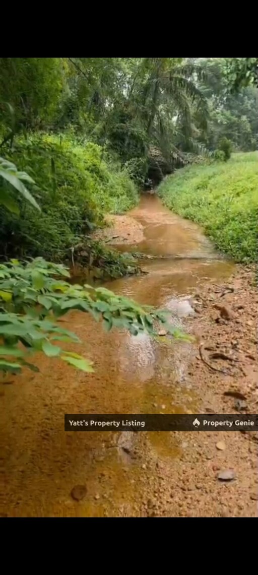 1 Acre Agricultural Land for Sale  Sg Merab, Kajang    Durian Orchard Near River, 5 Mins to IOI City Mall - RM750k  Https://Www.Wassap.My/60163169225/Tanahkgsgmerab1 Acre Agricultural Land for Sale  S
