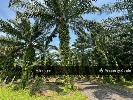 Agricultural Land @ Gelang Patah