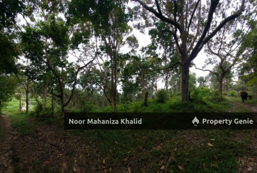 Tanah Pertanian Kampung Ibol Seberang @ Solok Lanjut Manis, Terachi Kuala Pilah