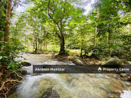 FREEHOLD & MALAY RESERVED | RESORT/CHALET : RIMBUNAN CHALET SUNGAI SENDAT ULU YAM BATANG KALI