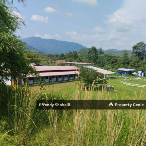JELEBU KENABOI KG CHENNAH AGRICULTURAL LAND