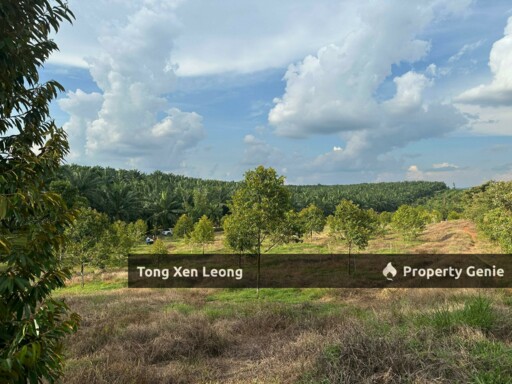 Nyalas Durian Land For Sale