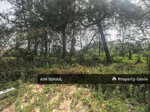 [LOKASI HOT] TANAH TEPI PANTAI BAGING SUNGAI ULAR, KUANTAN