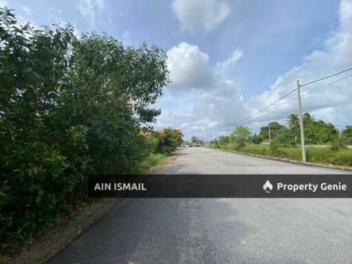 [1St LOT JALAN, 5 EKAR] Freehold Tanah Pertanian Ketapang Hilir, Pekan