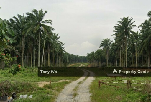 Residentials Land  For Sale