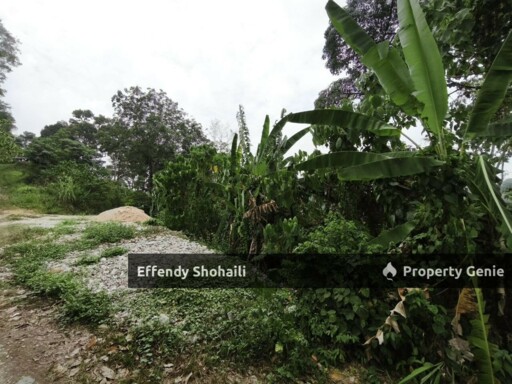 SERDANG SERI KEMBANGAN AGRICULTURAL LAND