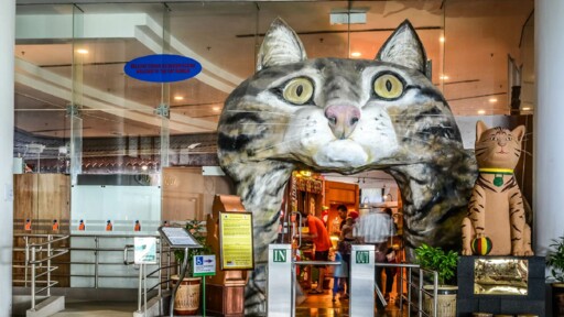 Purr-fect Adventures at the Kuching Cat Museum