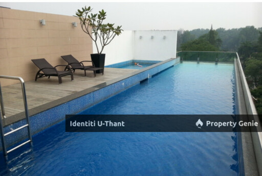 Identiti U-Thant