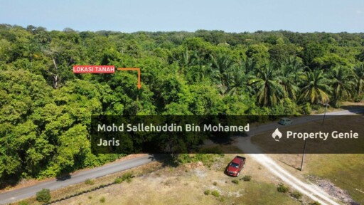 TANAH PERTANIAN KG BENTAN, PEKAN